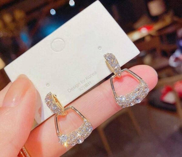 Bag Style Earrings Casual to Party Wear