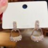 Bag Style Earrings Casual to Party Wear