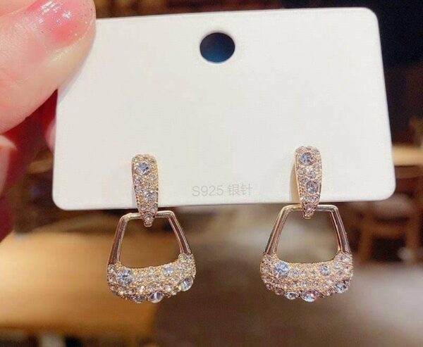 Bag Style Earrings Casual to Party Wear