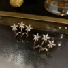 Beautiful Flower Metal Earrings